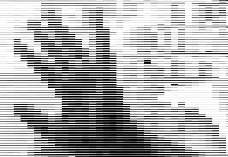 Camera Lines